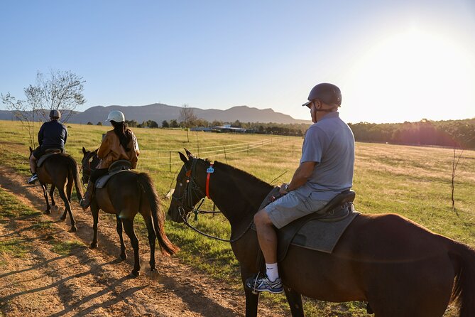 Hunter Valley Horse Ride - 90 Minutes -Vineyard & Mountain Views - Key highlights to notice before you go