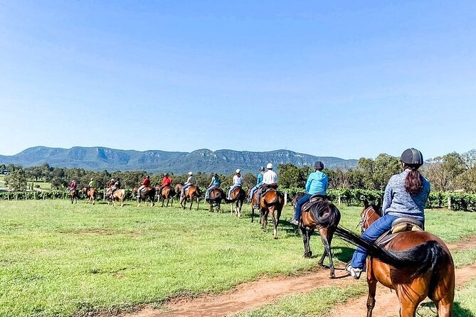 Hunter Valley Horse Ride - 90 Minutes -Vineyard & Mountain Views - The 90-minute route: bushland, farmland, and Pokolbin vineyards