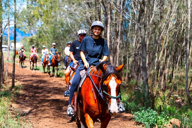 Hunter Valley Horse Ride - 90 Minutes -Vineyard & Mountain Views - Horses and control: what beginners should expect