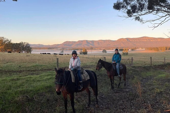 Hunter Valley Horse Ride - 90 Minutes -Vineyard & Mountain Views - Who should book this horse ride in Hunter Valley?