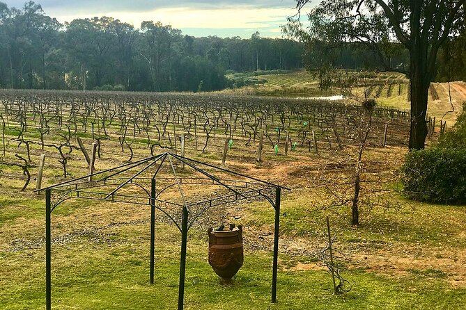 Hunter Valley Wine Tour from Sydney: 3 Wineries & Vineyard Picnic - De Bortoli Wines: family story tastings and the fun of sweeter pours