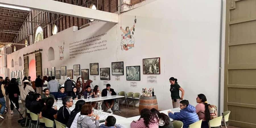Ica: Tacama Winery and Pisco Tasting Tour with Hotel Pickup - Key Highlights You’ll Actually Feel