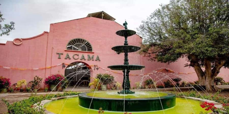 Ica: Tacama Winery and Pisco Tasting Tour with Hotel Pickup - First Glass in Ica: What This Tour Is Really About