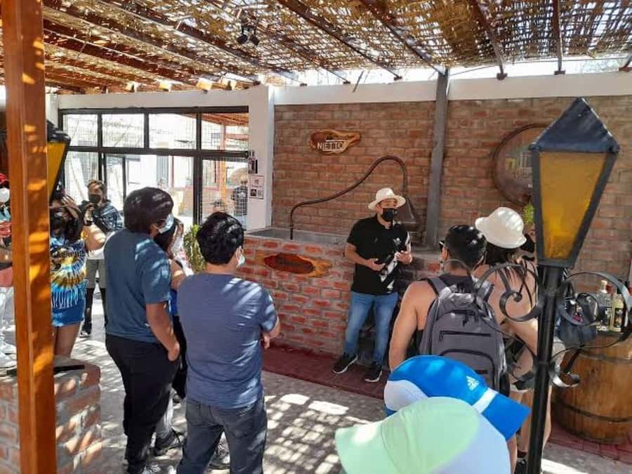 Ica: Tacama Winery and Pisco Tasting Tour with Hotel Pickup - Bodega El Catador: A Handcrafted Pisco Lesson You Can Taste