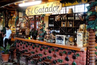 Ica: Tacama Winery and Pisco Tasting Tour with Hotel Pickup - Hotel Pickup and Small-Group Pace: Fewer Headaches, Better Timing