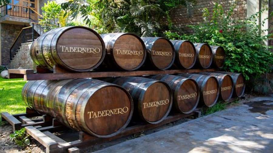 Ica: Winery Tour with Pisco and Wine Tasting - Getting to Ica’s wineries without the hassle