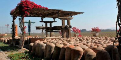 Ica: Winery Tour with Pisco and Wine Tasting - El Catador Winery: Pisco history in a real production setting