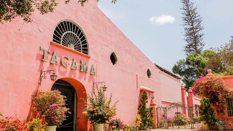 Ica: Winery Tour with Pisco and Wine Tasting - Language, guide style, and the practical reality of 150 minutes