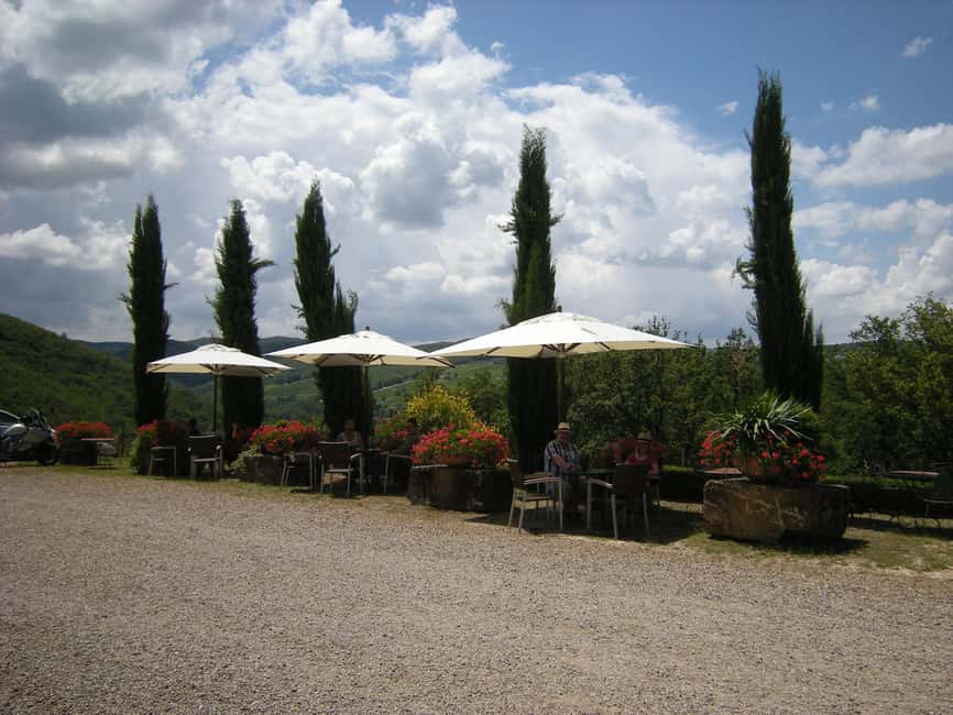 Il Molino di Grace: Vineyard & Cellar Tour with Wine Tasting - Key highlights you should care about