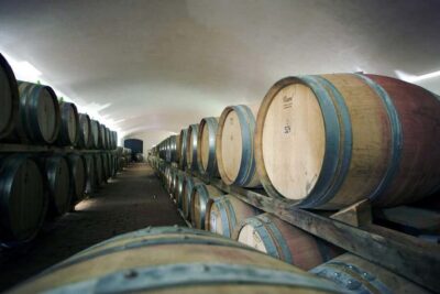 Il Molino di Grace: Vineyard & Cellar Tour with Wine Tasting - A one-hour winery visit that actually connects dots