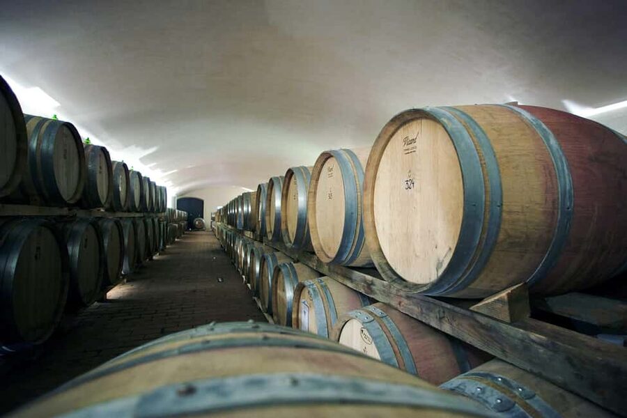 Il Molino di Grace: Vineyard & Cellar Tour with Wine Tasting - A one-hour winery visit that actually connects dots