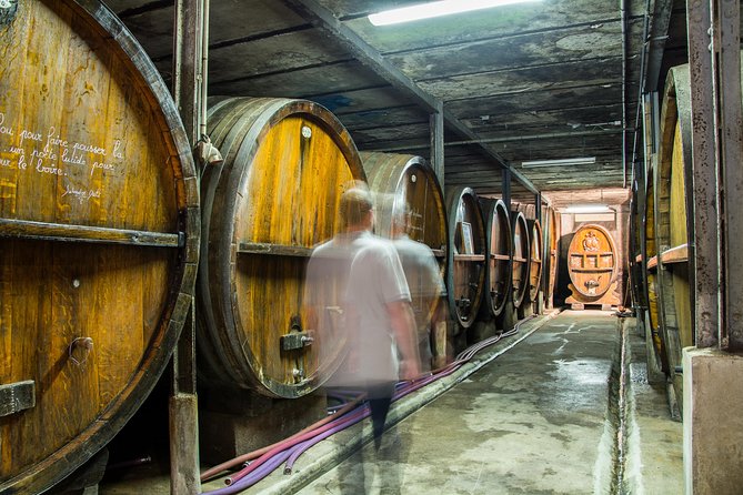 Immersive Winery Tour - Tasting and Alsatian Brunch - Language timing: French vs English and why the start time matters