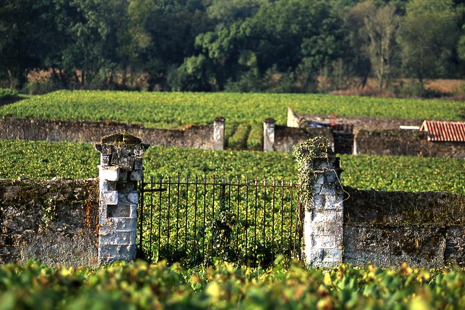 Incredible Loire castles tour with lunch and a vineyard visit - Lunch Upgrade: When the Meal Break Is Actually Worth It