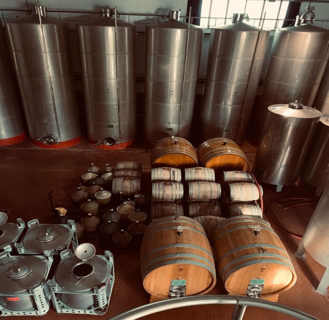 Ischia: Vineyard Tour & Wine Tasting Experience w/ Transfers - Vineyard Walk and Cellar Visit: What You Learn Before You Sip