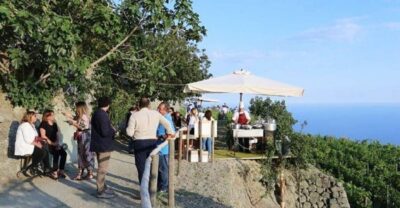 Ischia: Vineyard Tour & Wine Tasting Experience w/ Transfers - The Van Ride to the Vineyard: Scenery With a Purpose