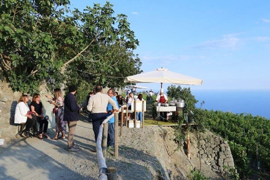 Ischia: Vineyard Tour & Wine Tasting Experience w/ Transfers - What This Tour Is Best For (And When to Skip It)