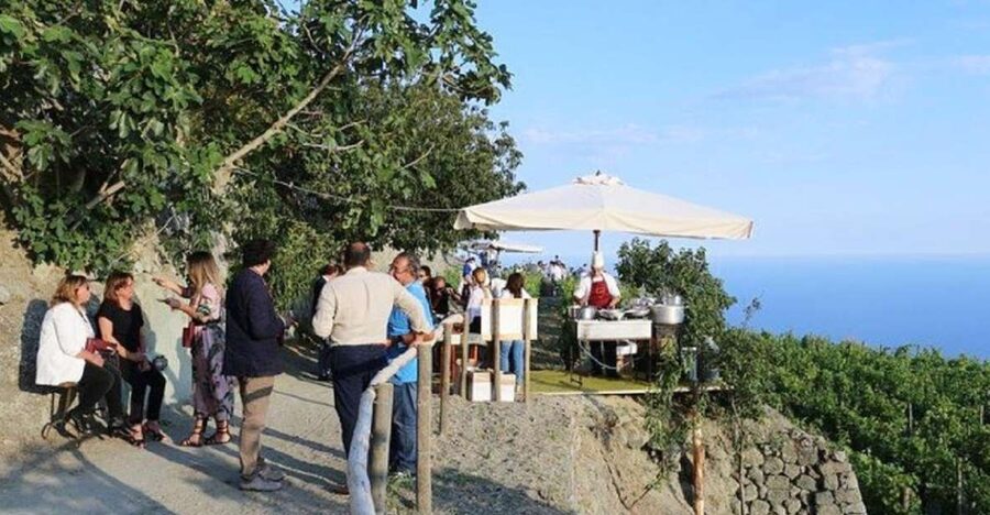 Ischia: Vineyard Tour & Wine Tasting Experience w/ Transfers - The Van Ride to the Vineyard: Scenery With a Purpose