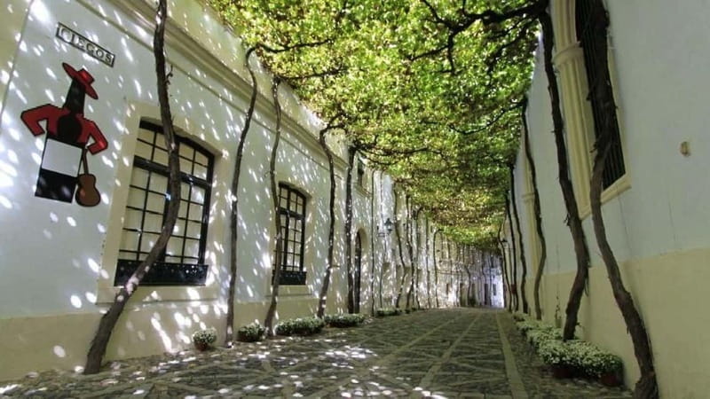 Jerez: 1.5-Hour Sherry Winery and Tasting Tour - Key takeaways before you go
