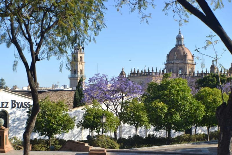 Jerez: 1.5-Hour Sherry Winery and Tasting Tour - Small planning tip to avoid a frustrating start