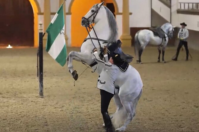 Jerez & Cadiz Winery with Tasting & Opt Horse Show from Seville - Key highlights worth knowing