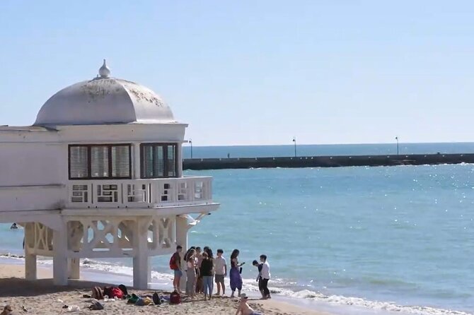 Jerez & Cadiz Winery with Tasting & Opt Horse Show from Seville - Sherry + Andalusian horses + Cádiz: the best parts of this day trip