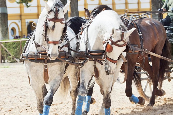 Jerez & Cadiz Winery with Tasting & Opt Horse Show from Seville - Price and logistics: does $117.74 feel fair?