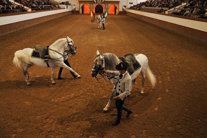 Jerez & Cadiz Winery with Tasting & Opt Horse Show from Seville - Who should book this tour (and who should skip it)