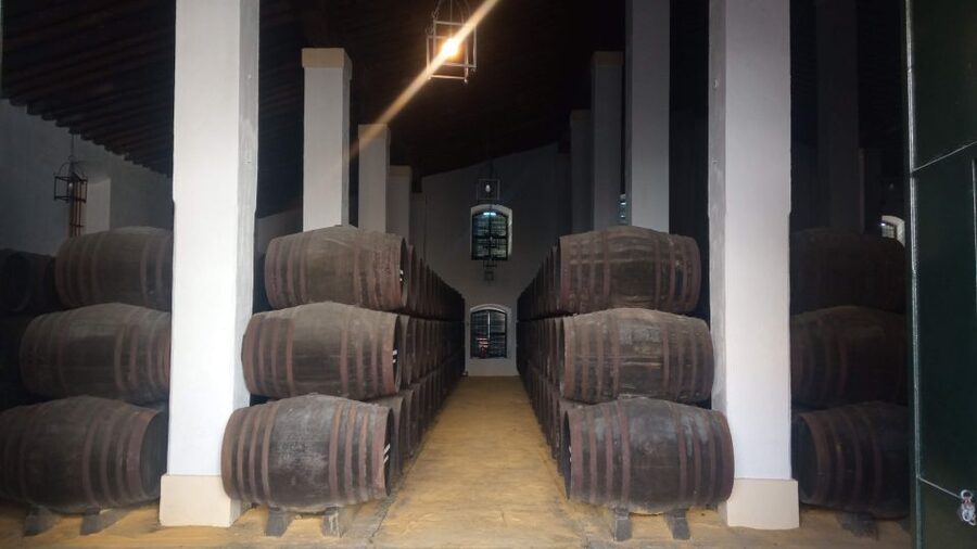 Jerez de la Frontera: Sherry Winery Tour with Tasting - The Guided Walk Through Aging Systems (Without the Snobbery)