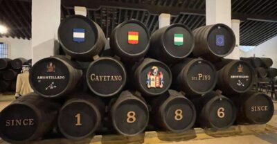 Jerez de la Frontera: Sherry Winery Tour with Tasting - The Visitor Center Film and Exhibits That Make Sherry Make Sense