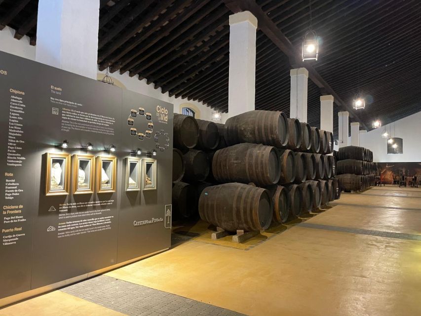 Jerez de la Frontera: Sherry Winery Tour with Tasting - Buying Wine and Souvenirs Inside the Bodega
