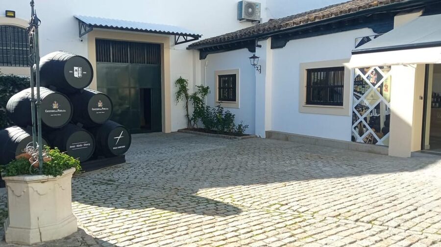 Jerez: Guided Winery Tour with Wine Tasting - Should you book Cayetano del Pino with wine tasting?