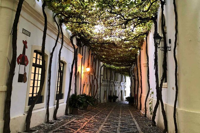 Jerez Winery Tour and wine tasting - Timing That Feels Real: How the 8 Hours Really Break Down