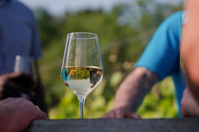 Jersey Premium Vineyard and Distillery Wine Tour and Tasting - Key highlights worth planning for