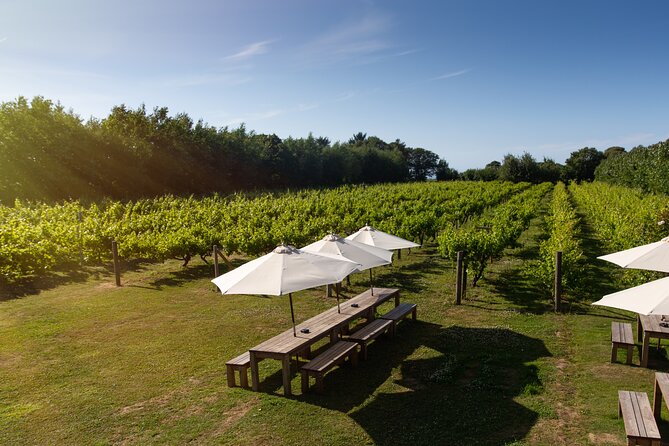 Jersey Premium Vineyard and Distillery Wine Tour and Tasting - Premium Upgrade: full-size spirit, mixer choice, plus crostini and tapenade