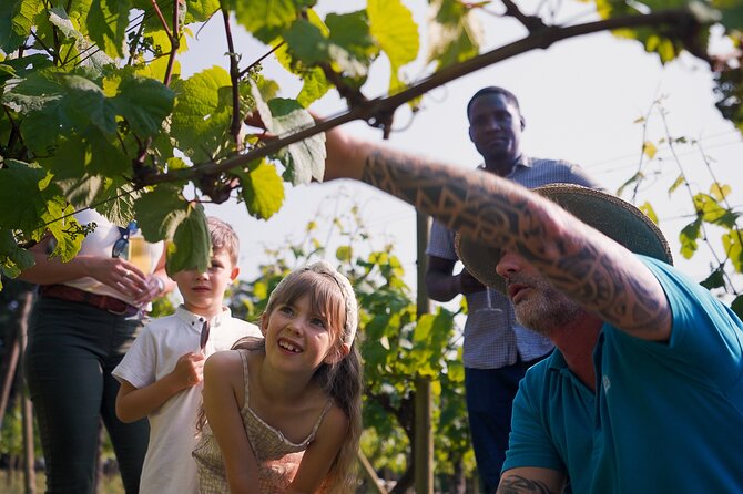 Jersey Premium Vineyard and Distillery Wine Tour and Tasting - Price and value at about $32.98 per person