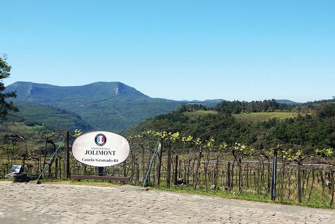 Jolimont Winery Tour - Visitation and Tasting - Canela RS - Tips to Get More Out of Your Visit
