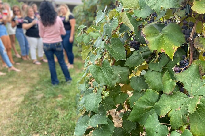 Kansas City Brewery, Winery, and Distillery Tour - The Guides: Why the People Part Matters