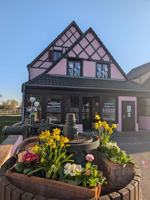 Kaysersberg Vineyard Discover the vineyard and wine, Domaine Meyer-Krumb - Key Highlights to Know Before You Go