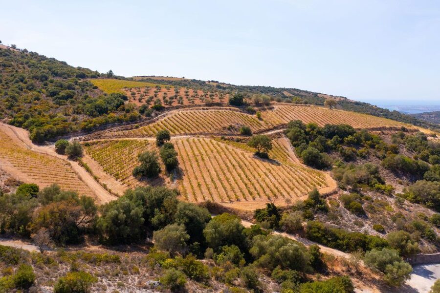 Kefalonia Highlights Robola Winery, Melissani & Fiscardo - Fiscardo free time: the village where time doesn’t reset