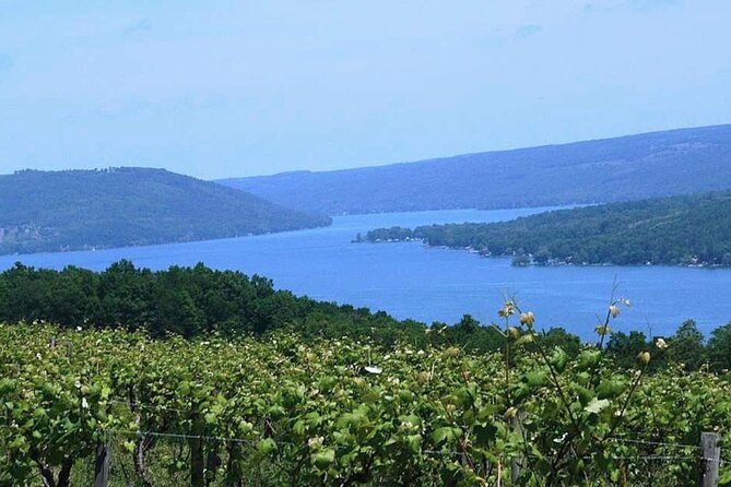 Keuka Lake Winery Tour - Key Things I’d Prioritize