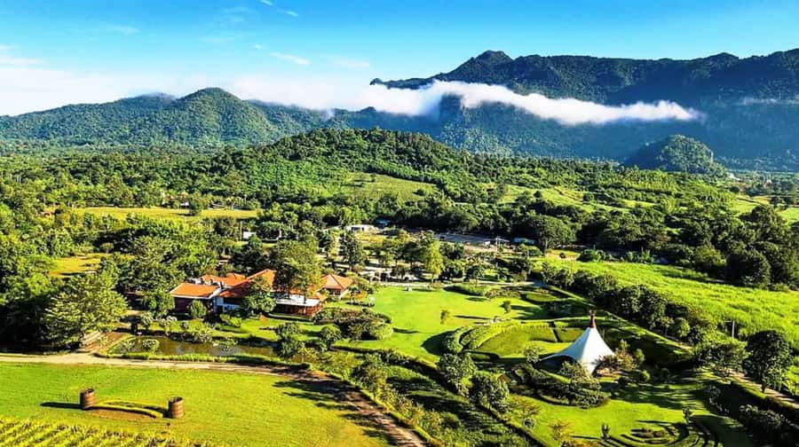 Khao Yai Vineyard Tasting Tour & Horse Farm Visit - Key things you’ll notice right away