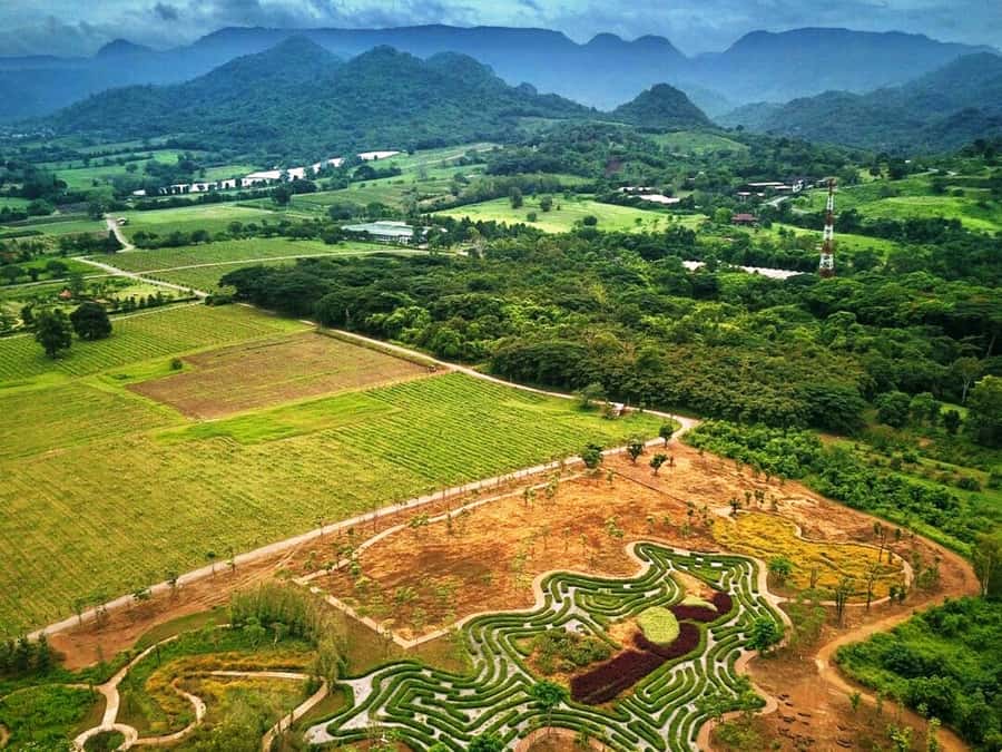 Khao Yai Vineyard Tasting Tour & Horse Farm Visit - Starting at 6:30 AM: how the day actually fits together