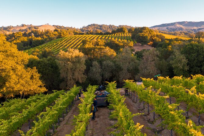 Knossos, Olive Grove, Winery - Distillery with Tastings & Lunch - What to expect from the driver and how to get the most out of the ride