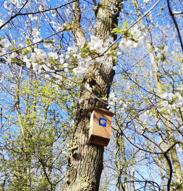 Koblenz: The Living Vineyard, Nature & Wine Enjoyment - Should you book Koblenz: The Living Vineyard, Nature & Wine Enjoyment?