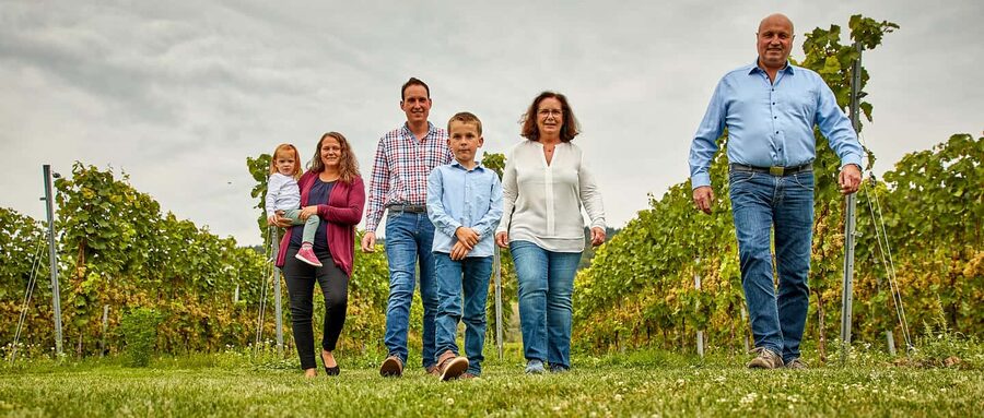 Kröv/Gut Hermes: Wine tour & tasting through vineyard, winery & champagne factory - Welcome champagne in the vineyard: small drink, smart start