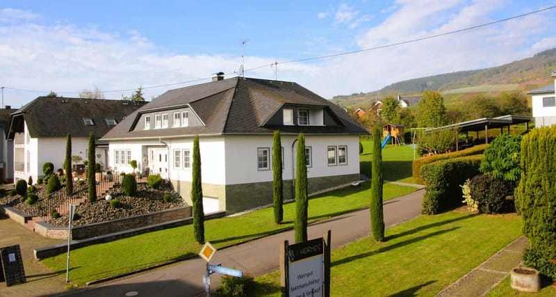 Kröv/Gut Hermes: Wine tour & tasting through vineyard, winery & champagne factory - The big payoff: tasting 9 wines with time to ask questions