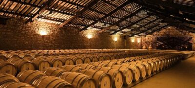 La Rioja: Guided visit to CVNE Winery and wine tasting - The 90-minute flow: what your time actually looks like