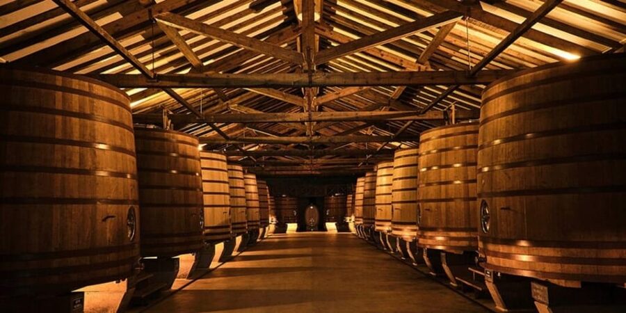 La Rioja: Guided visit to CVNE Winery and wine tasting - How good is the value at $32 per person?