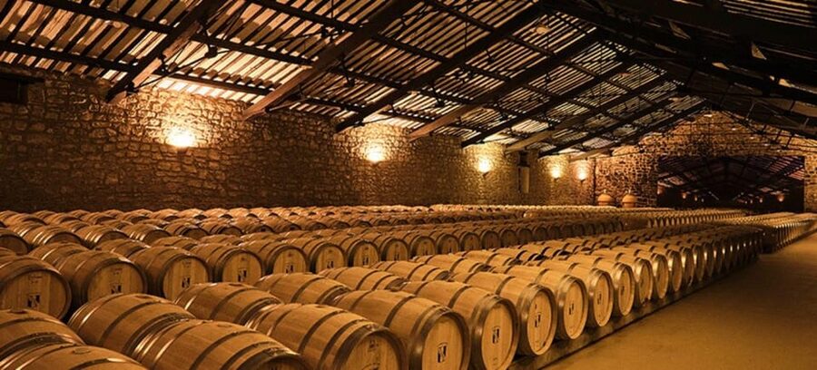 La Rioja: Guided visit to CVNE Winery and wine tasting - The 90-minute flow: what your time actually looks like