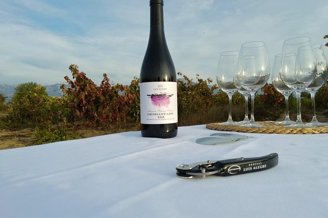 La Rioja wine tour: winery and traditional lunch from Bilbao - Rioja wine country in one packed day from Bilbao